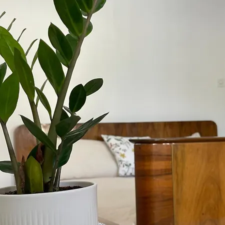 Hisa Vuga * טולמין